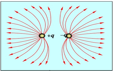 На рисунке показана картина силовых линий создаваемых двумя неподвижными разноименными зарядами