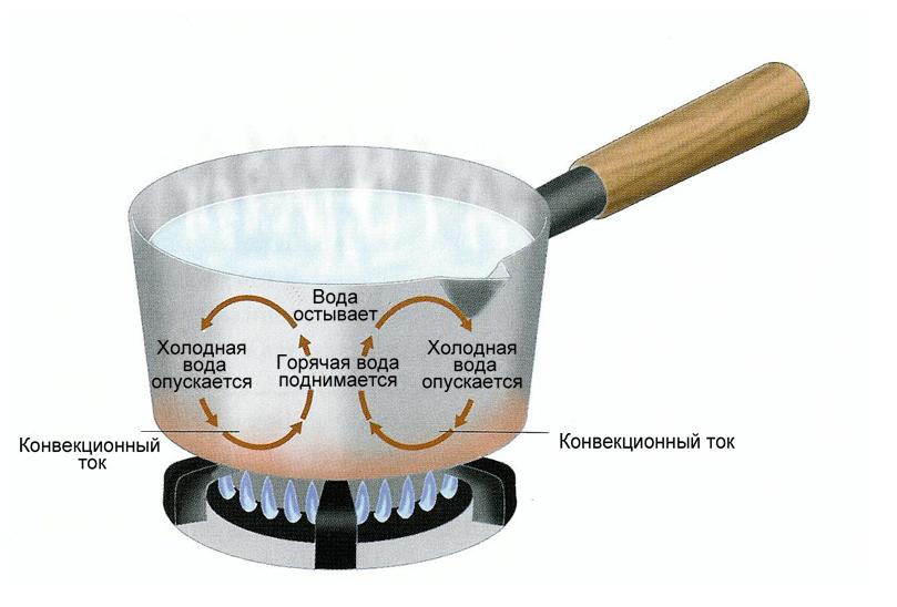 Горячая вода закипает быстрее. Теплопроводность кастрюля. Конвекционный ток примеры. Конвекция в кастрюле. Примеры конвекции.