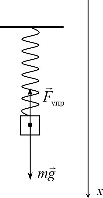 Рисунок изображающий силу упругости